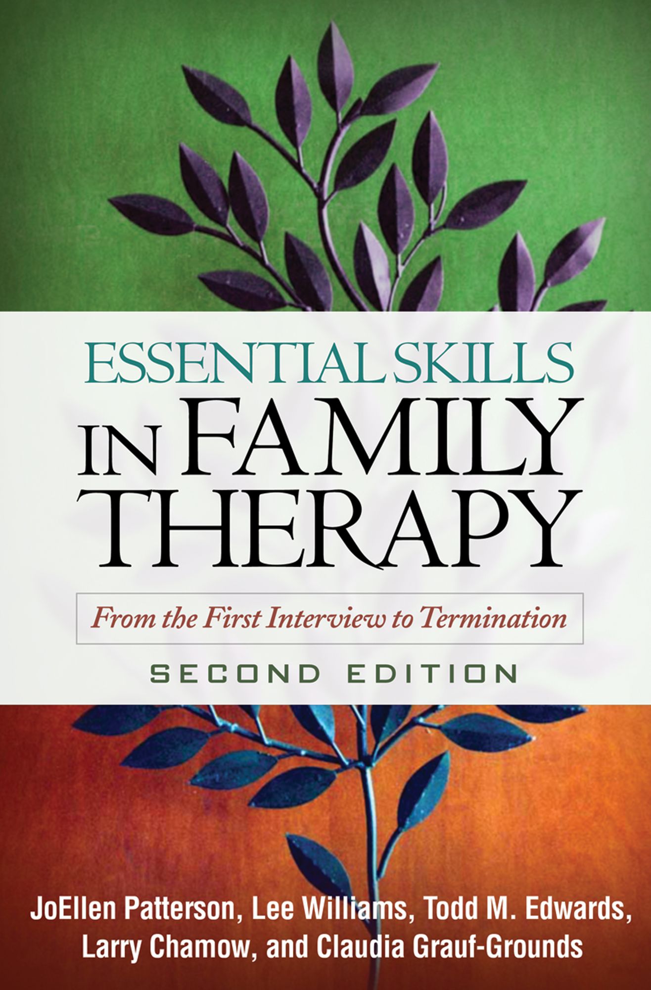 Essential Skills in Family Therapy, Second Edition: From the First Interview to Termination