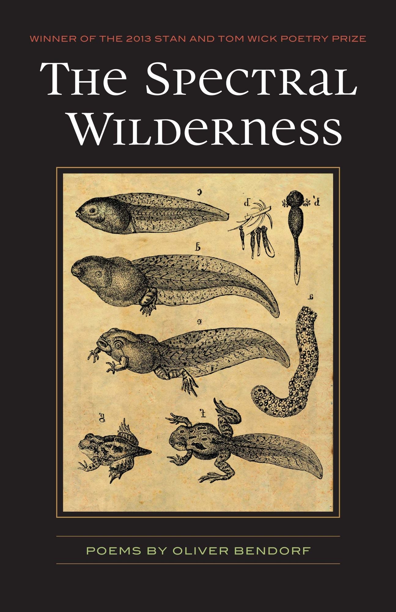 The Spectral Wilderness : Poems