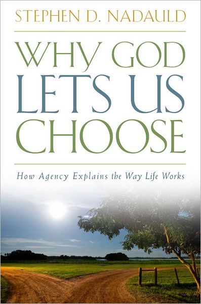 Why God Lets Us Choose: How Agency Explains the Way Life Works