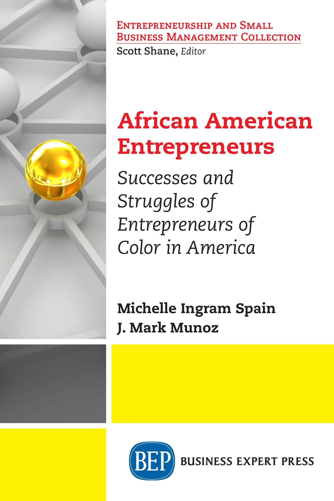 African American Entrepreneurs: Profiles and Viewpoints