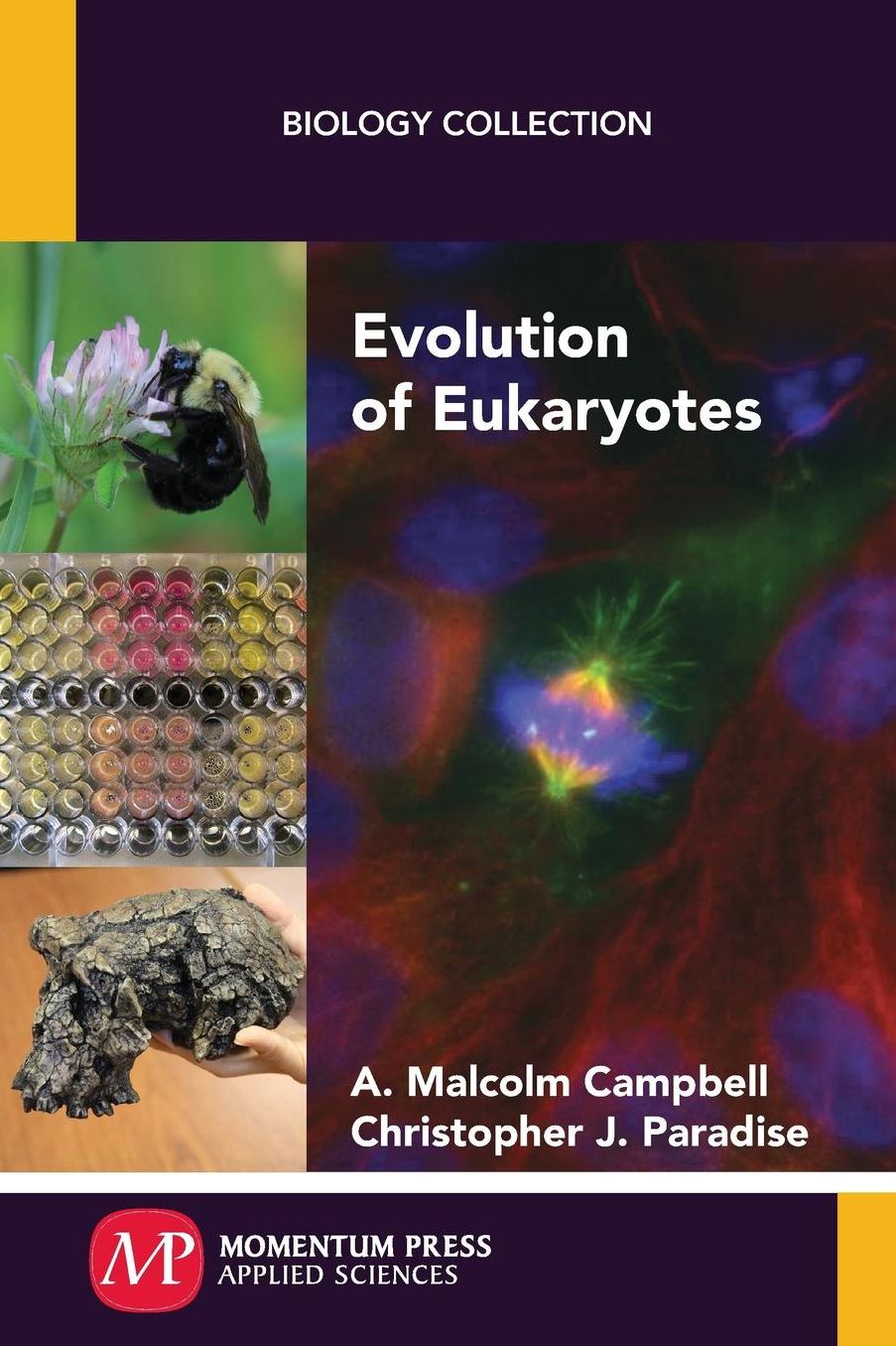 Evolution of Eukaryotes