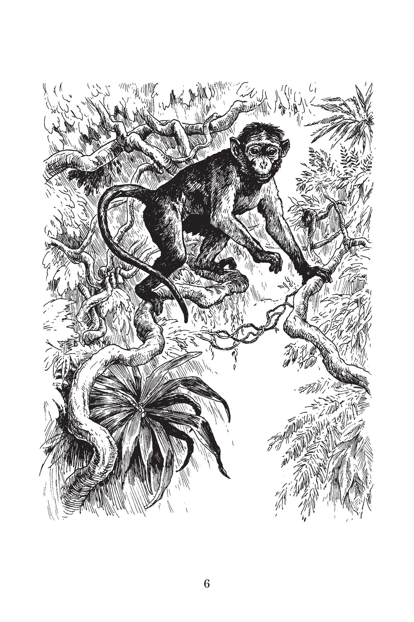 Sock Monkey Into The Deep Woods