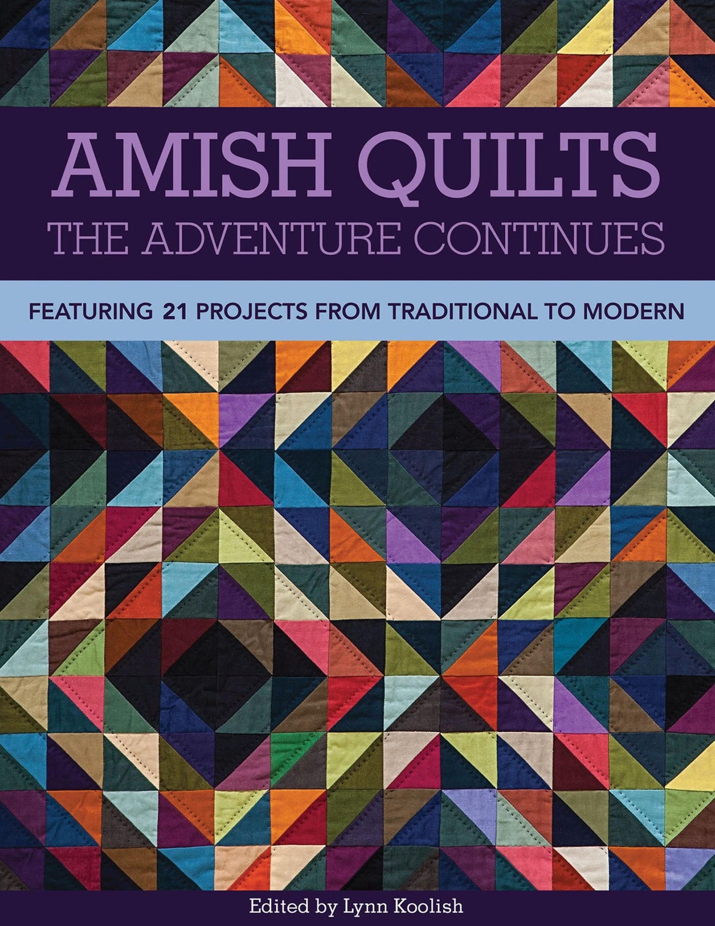 Amish Quilts, The Adventure Continues: Featuring 21 Projects from Traditional to Modern