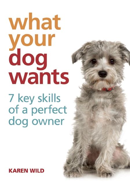 What Your Dog Wants: 7 Key Skills of a Perfect Dog Owner