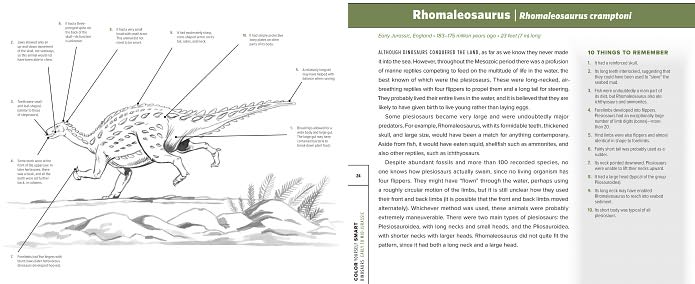 Color Yourself Smart: Dinosaurs