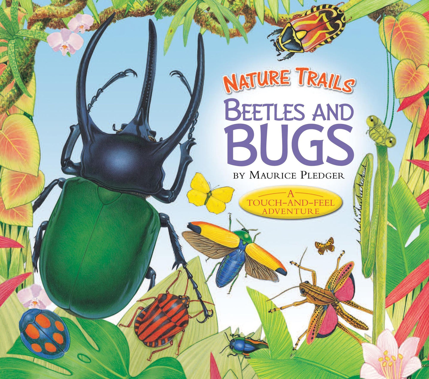 Nature Trails: Beetles and Bugs