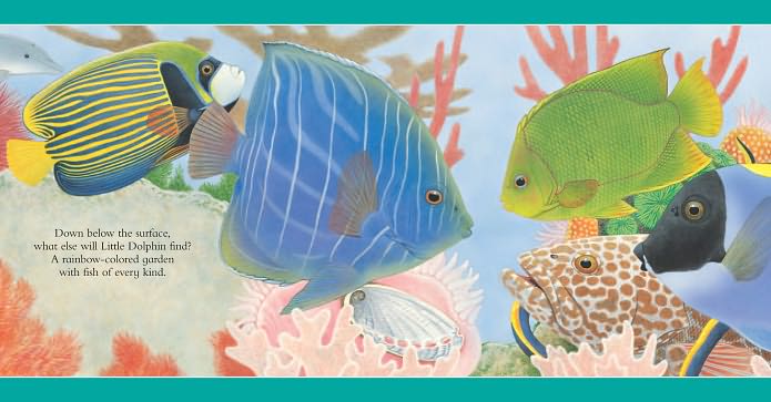 Nature Trails: In the Ocean