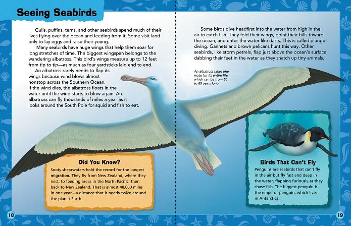 Animal Adventures: Ocean