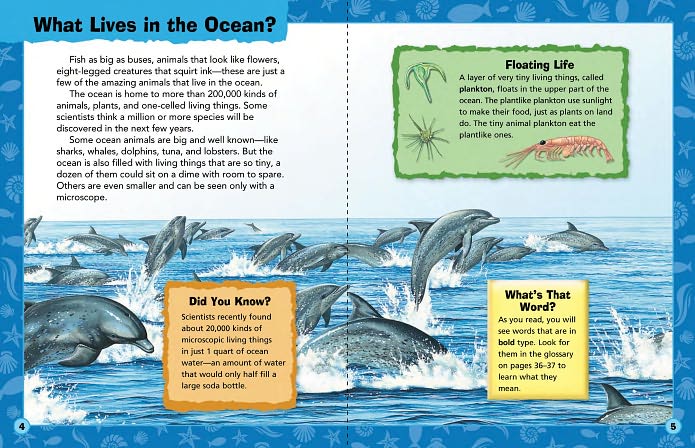 Animal Adventures: Ocean