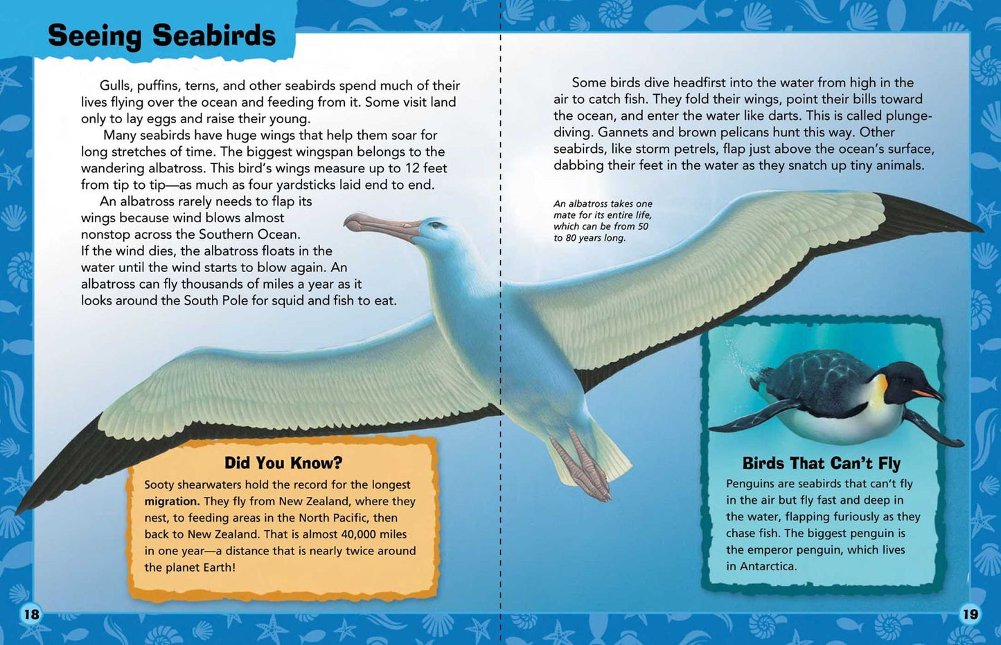 Animal Adventures: Ocean