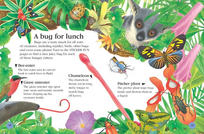 Bug World