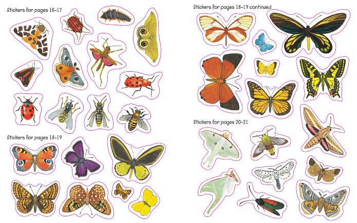 Bug World