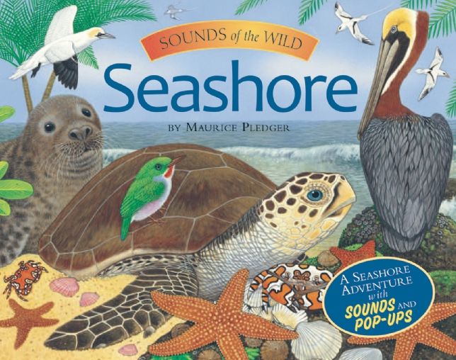 Seashore (Sounds of the Wild Series)