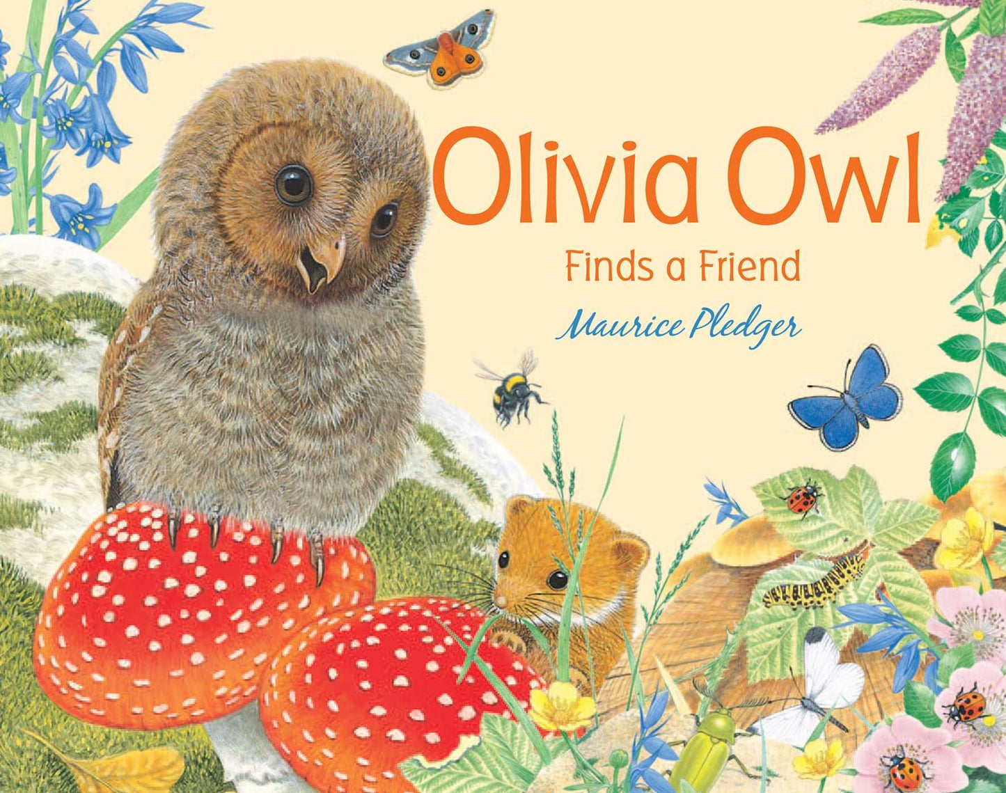 Olivia Owl Finds a Friend