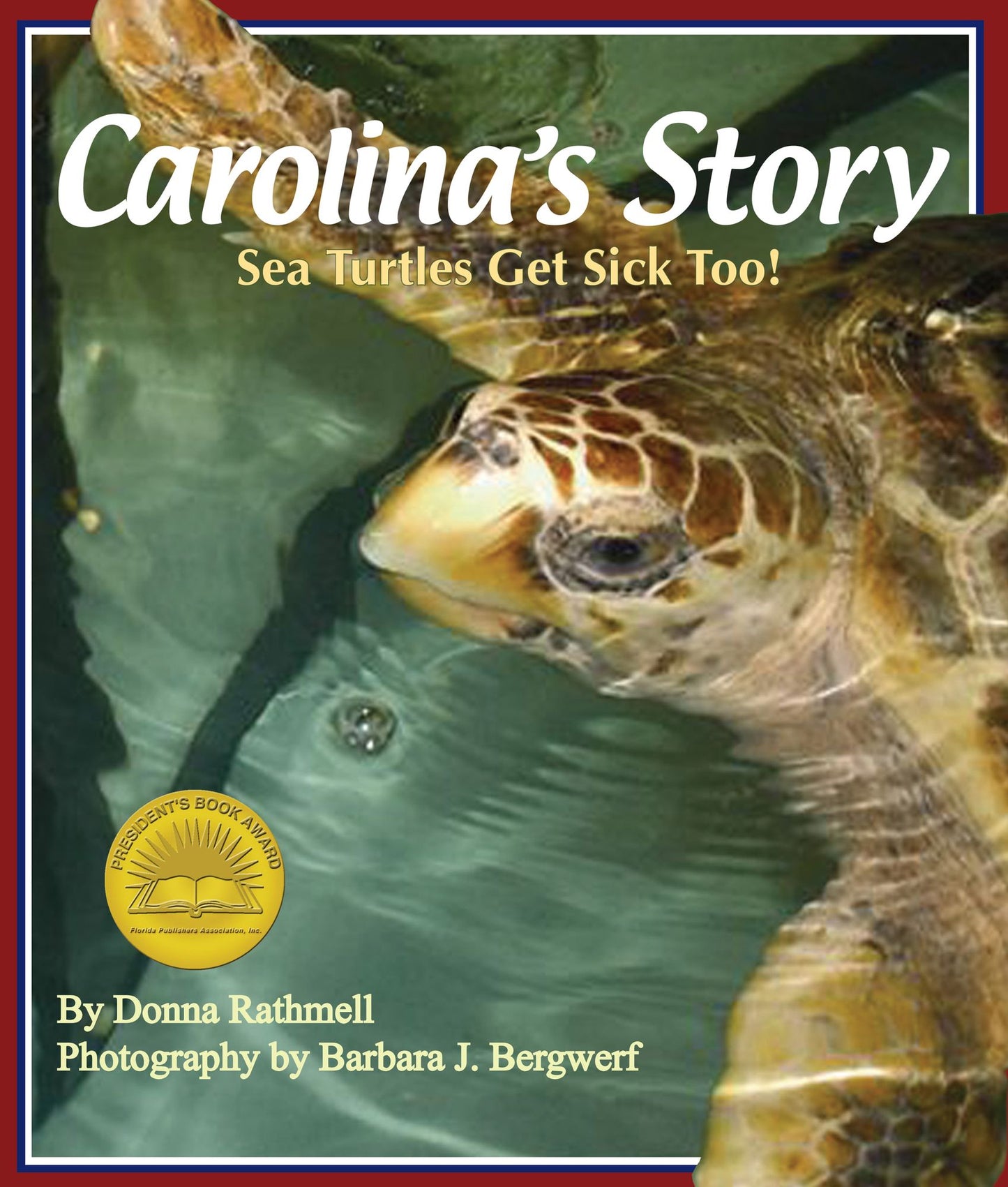 Carolina's Story: Sea Turtles Get Sick Too! (NOOK Comic with Zoom View)