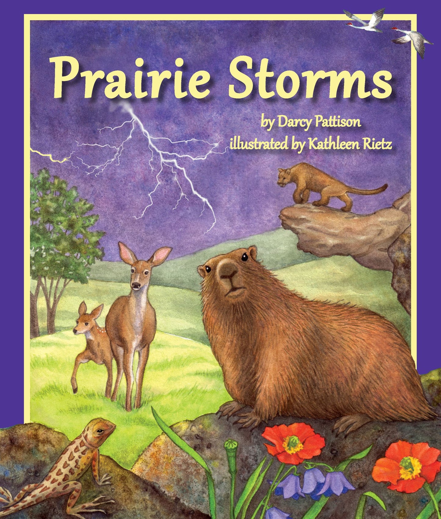 Prairie Storms (NOOK Comic with Zoom View)