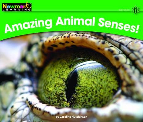 Amazing Animal Senses! RRB