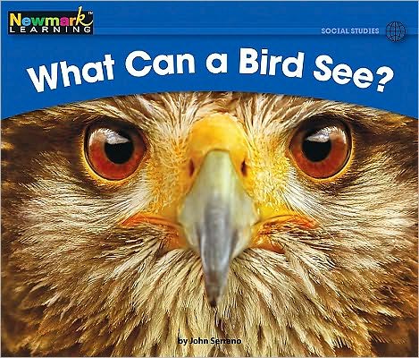 What Can a Bird See? RRB