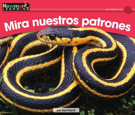 Mira nuestros Patrones