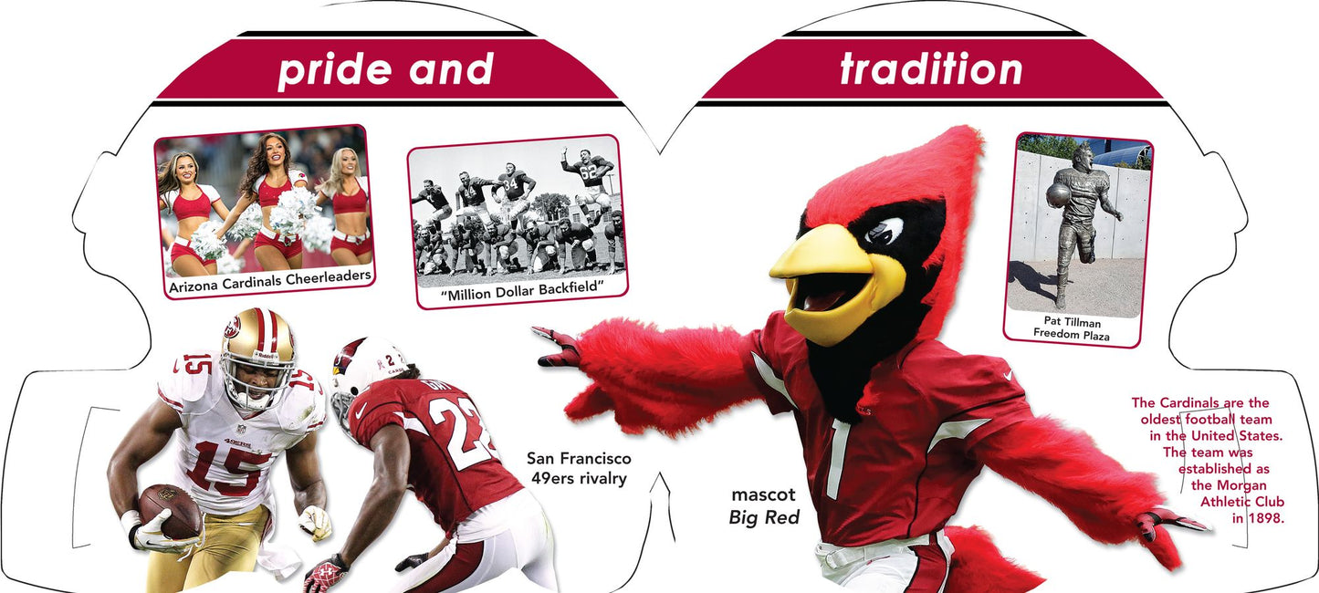 Arizona Cardinals 101