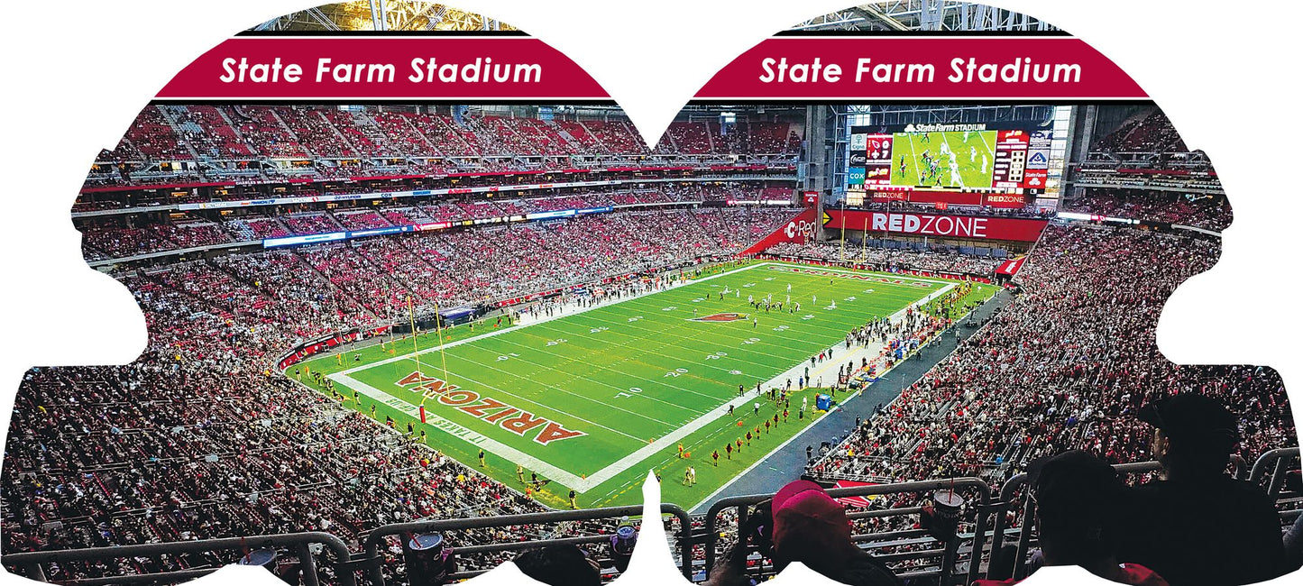 Arizona Cardinals 101