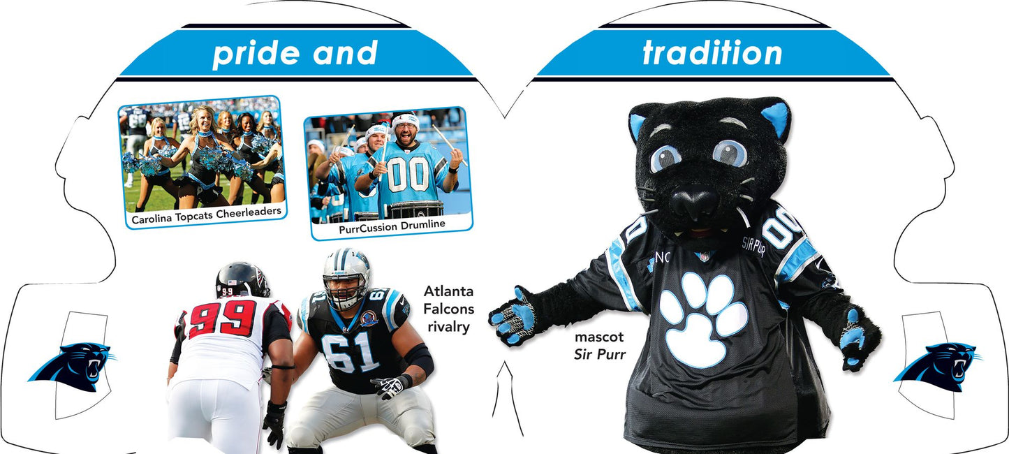 Carolina Panthers 101