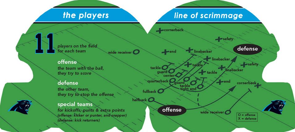 Carolina Panthers 101