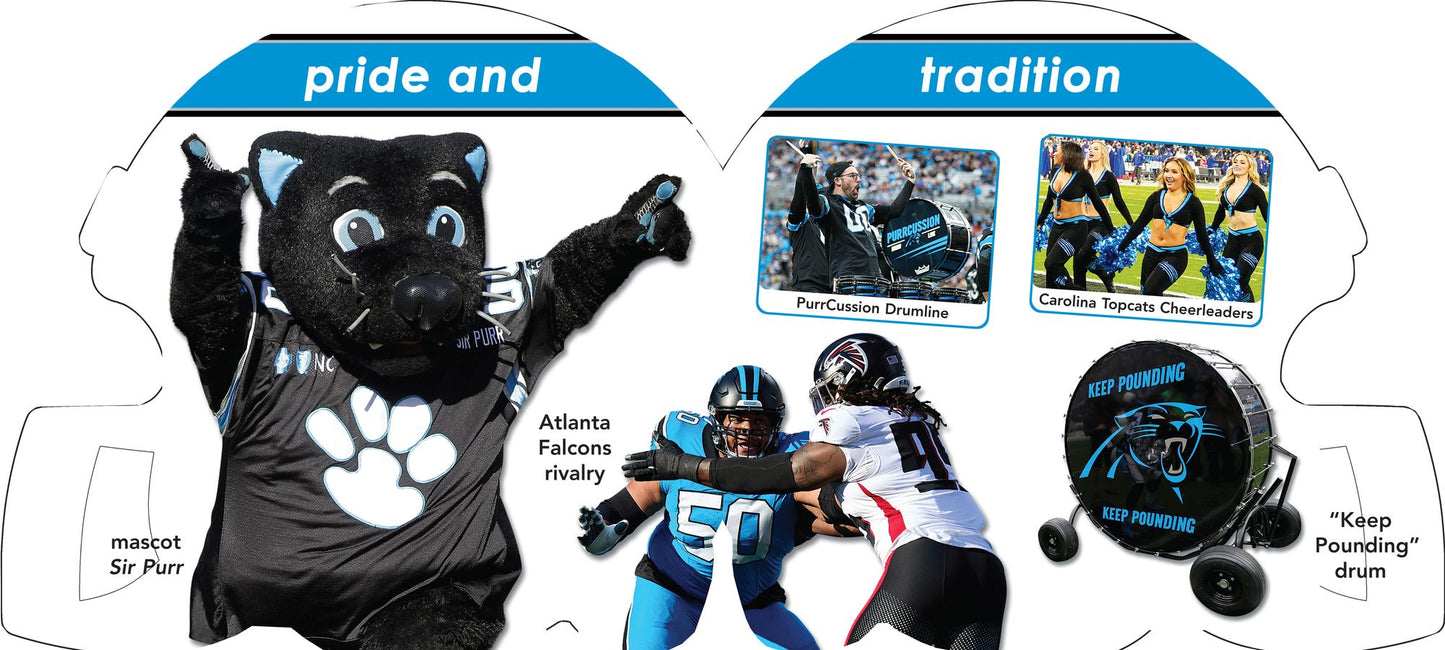 Carolina Panthers 101