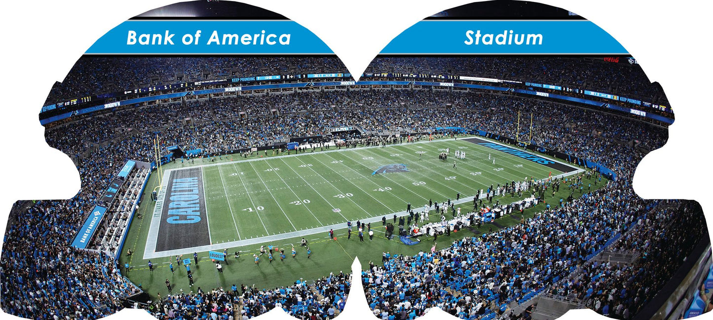 Carolina Panthers 101