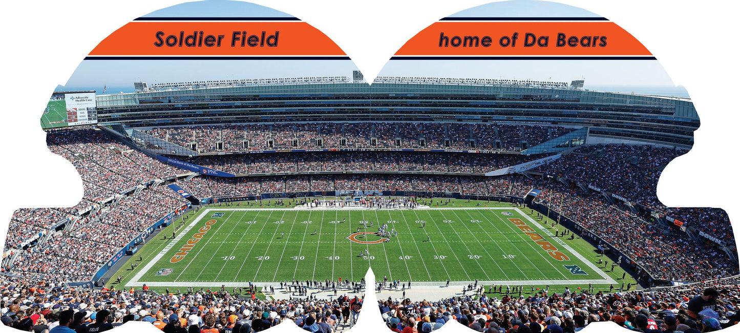 Chicago Bears 101