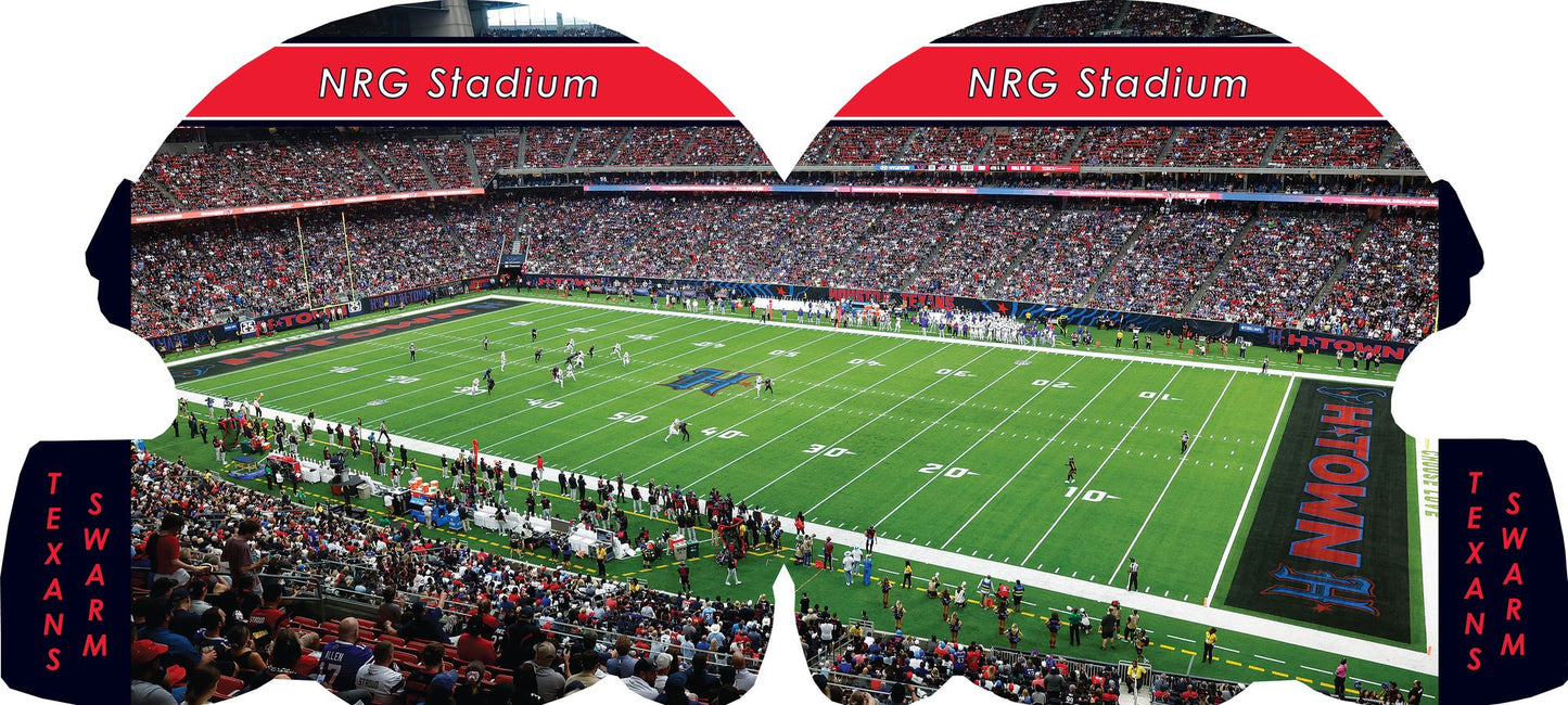 Houston Texans 101