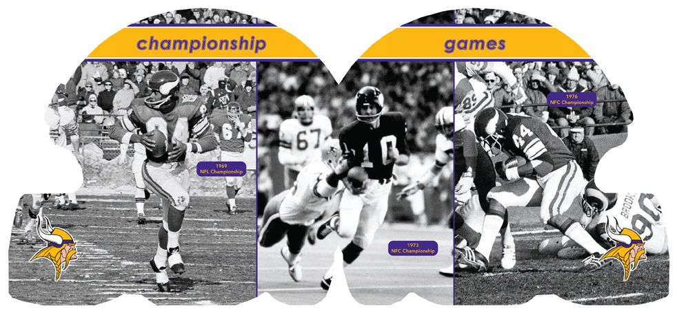 Minnesota Vikings 101
