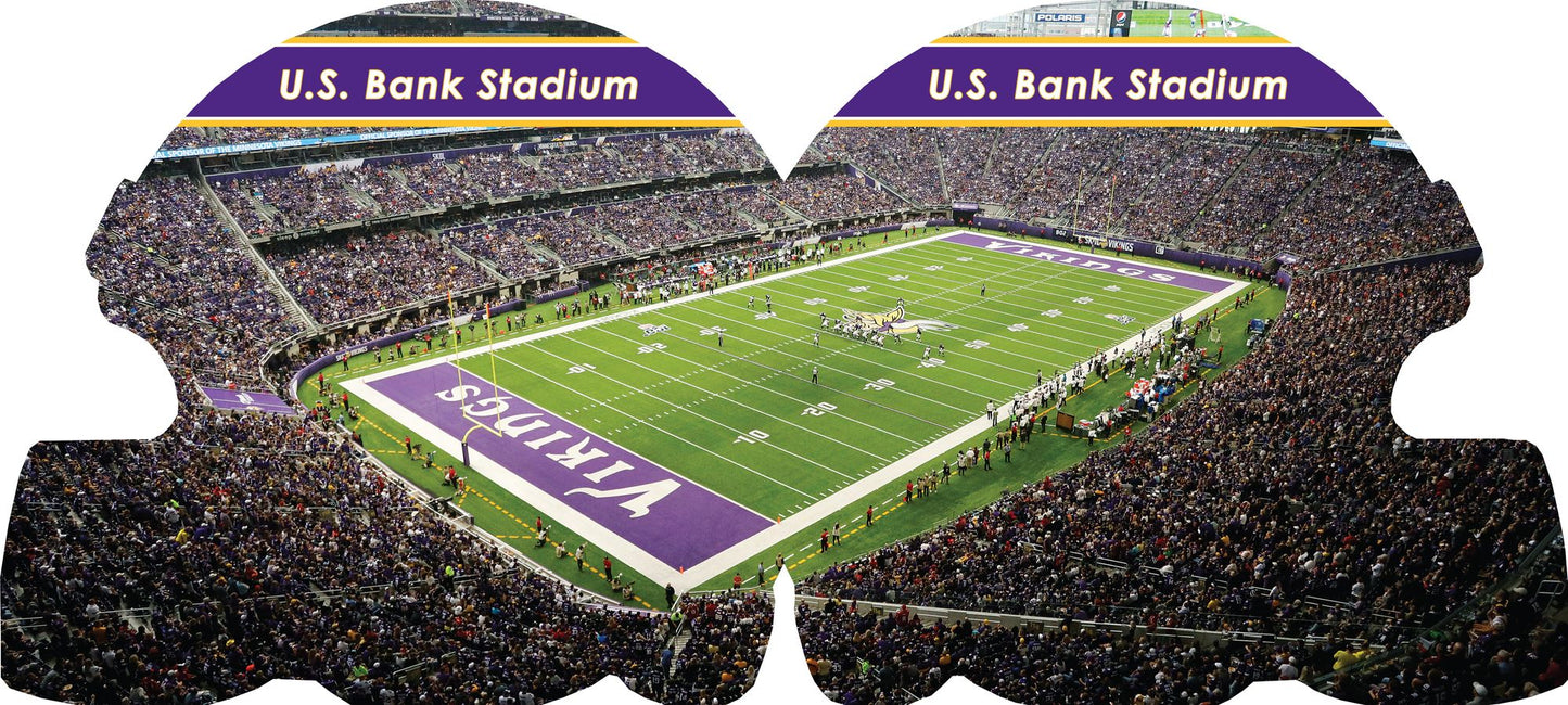Minnesota Vikings 101