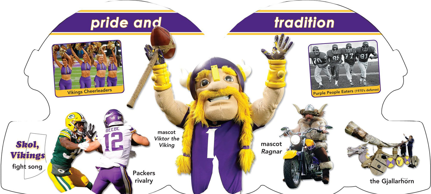 Minnesota Vikings 101