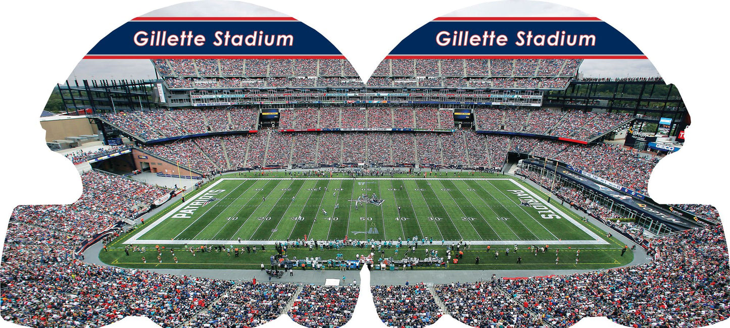 New England Patriots 101