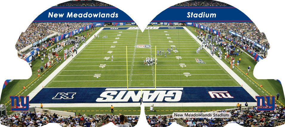 New York Giants 101