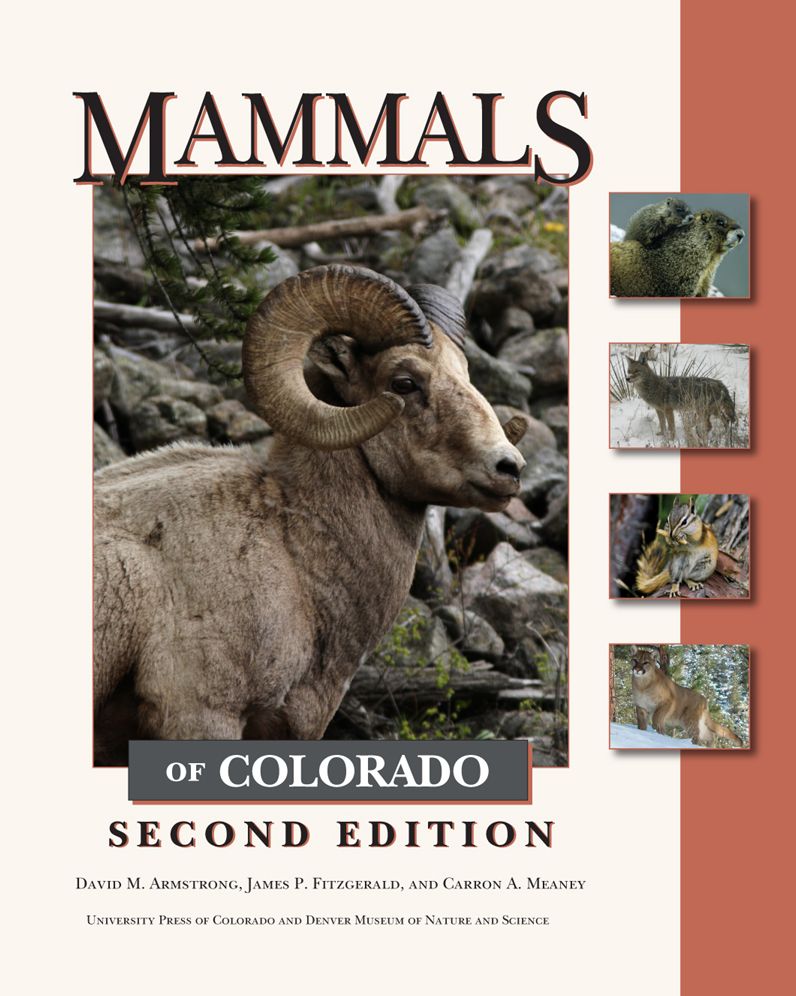 Mammals of Colorado (Second Edition)