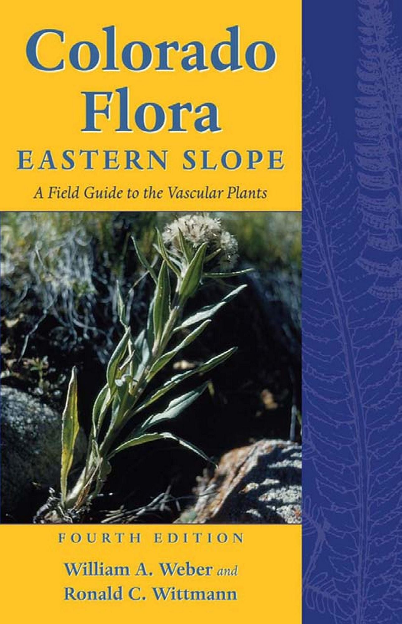 Colorado Flora: Eastern Slope, Fourth Edition <br>A Field Guide to the Vascular Plants
