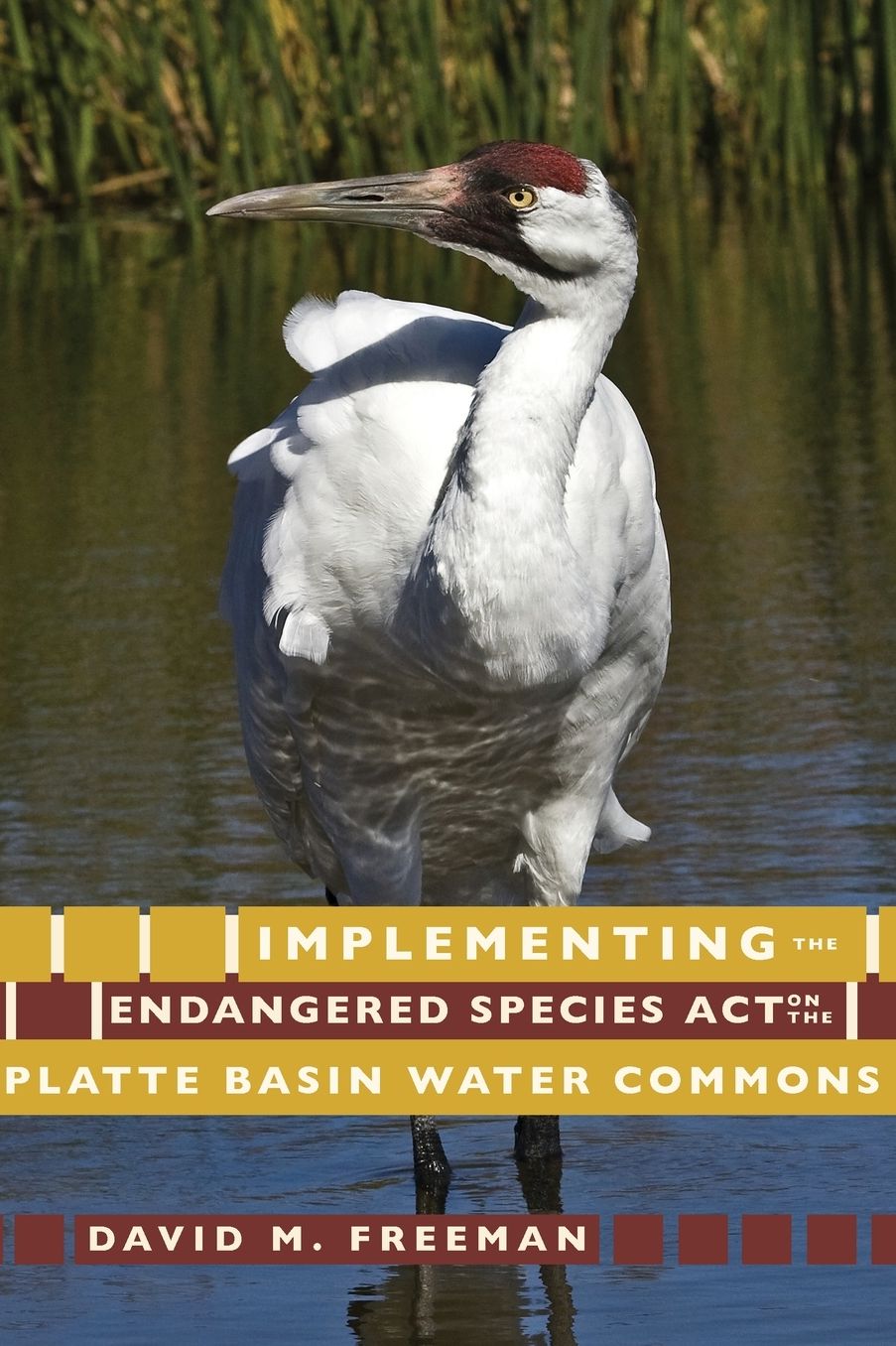 Implementing the Endangered Species Act on the Platte Basin Water Common