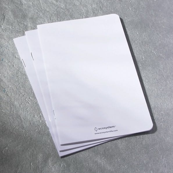 Ecosystem Pocket Insert Ruled Pages: Medium (Set of 3)