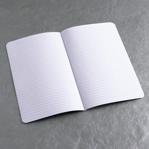 Ecosystem Pocket Insert Ruled Pages: Medium (Set of 3)