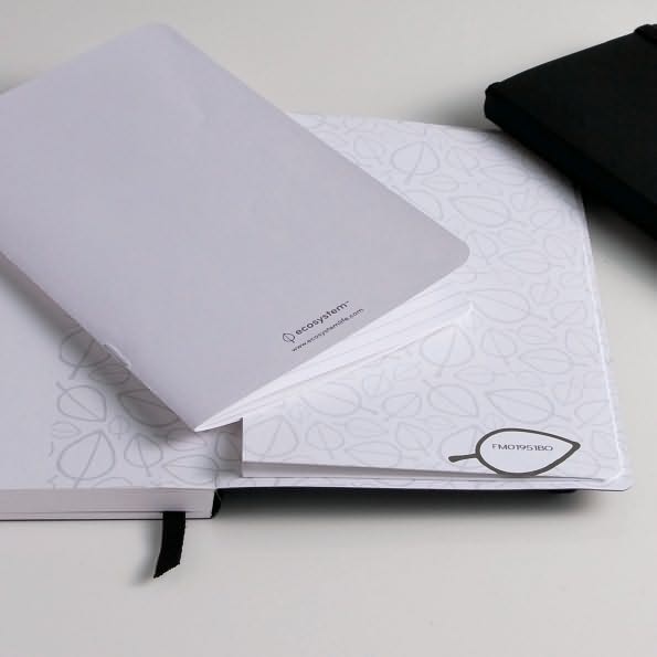 Ecosystem Pocket Insert Ruled Pages: Medium (Set of 3)