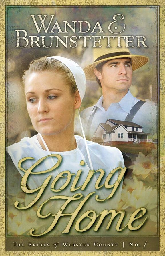 Going Home (Brides of Webster County Series #1)