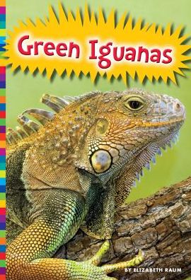 Green Iguanas
