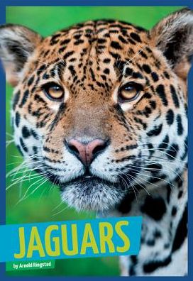 Jaguars