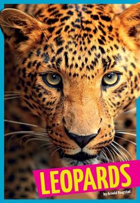 Leopards