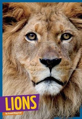 Lions