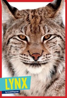 Lynx