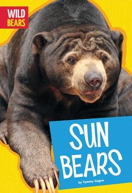 Sun Bears