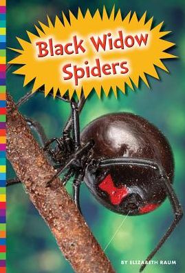 Black Widow Spiders